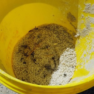 124352985_3739070562811105_7912861351082699589_o_1604996614