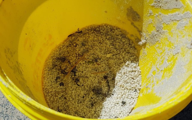 124352985_3739070562811105_7912861351082699589_o_1604996614