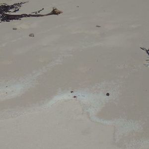 124557609_3739070422811119_5858077618547574433_o_1604996613