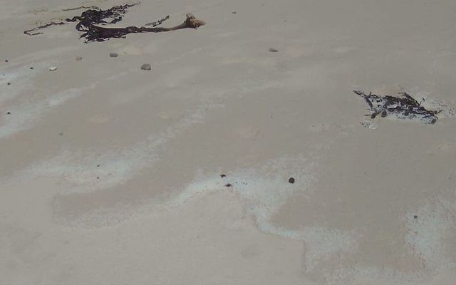 124557609_3739070422811119_5858077618547574433_o_1604996613