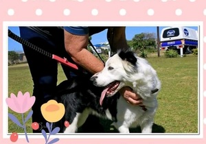 Kobus Marais Adopted Luna