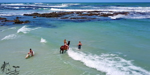 Gansbaai & Pearly Beach Horse Trails