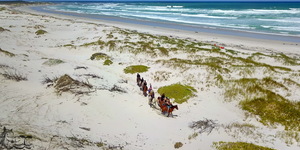 Gansbaai & Pearly Beach Horse Trails
