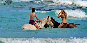 Gansbaai & Pearly Beach Horse Trails