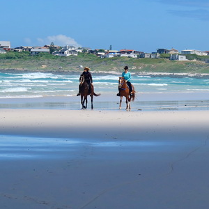 Gansbaai & Pearly Beach Horse Trails