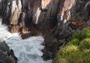 Most Amazing Place - Gansbaai!