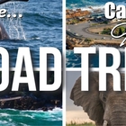 The Cattle Baron Road Trip! - Cattle Baron Grill & Bistro - Hermanus