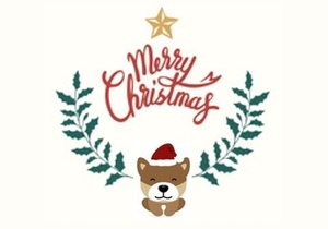 SAWS Christmas Table -Â 5 December 2020