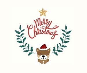 SAWS Christmas Table -Â 5 December 2020