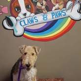 Pet Grooming - Claws & Paws - Gansbaai
