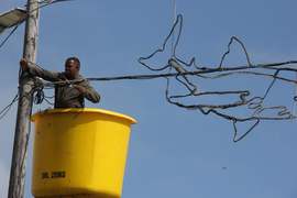 Festive Light Switching-On Events Cancelled