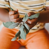 Xplorioâ„¢ Gansbaai - i-MED Africa - Sage