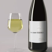 The Best White Wines of 2020 By Christian Eedes, 7 December 2020