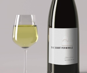 The Best White Wines of 2020 By Christian Eedes, 7 December 2020