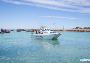 Next Boat Angling Trip -Â 12 December 2020