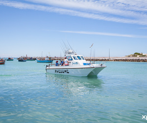 Next Boat Angling Trip -Â 12 December 2020