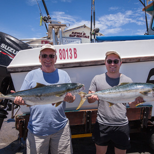 struisbaai_awesome_charters_fish_caught_close_up_1548145206_1607502255