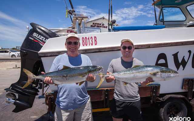 struisbaai_awesome_charters_fish_caught_close_up_1548145206_1607502255