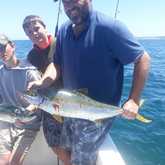 Xplorioâ„¢ Agulhas/Struisbaai - Awesome Charters - Boat Angling