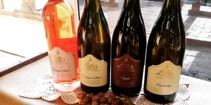 WhatsApp_Image_2020_12_12_at_10.36.45_4__1607936787