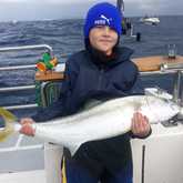 Xplorioâ„¢ Struisbaai - Awesome Charters - The Fish Are Here!