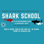Shark School:Â 19 & 23 December 2020 and 6 January 2021