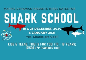 Shark School:Â 19 & 23 December 2020 and 6 January 2021
