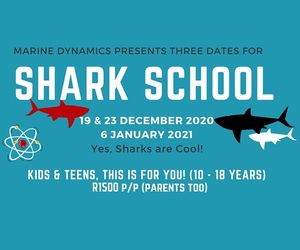 Shark School:Â 19 & 23 December 2020 and 6 January 2021