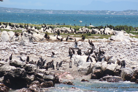 20201213_DC_Trip1_SandraHoerbst_40JPG_1608020639