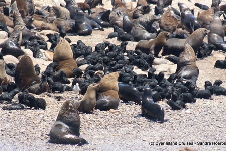 20201213_DC_Trip1_SandraHoerbst_55JPG_1608020640