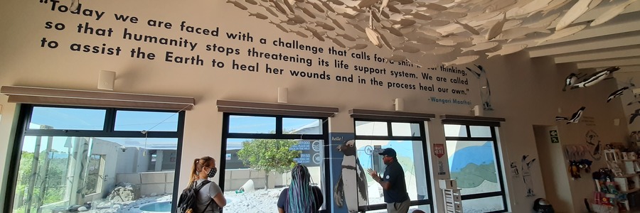 20201016_095349_1608021151