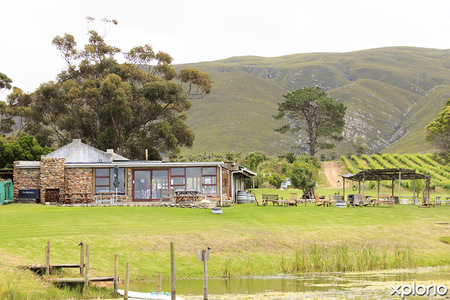 stanford_stanford_hills_restaurant_view_from_pond_1608025424