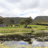 Stanford - Stanford Hills Estate - View of Venue