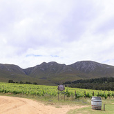 Stanford - Stanford Hills Estate - Road To Tents