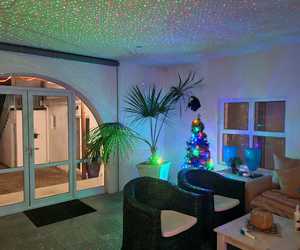 Bellamente is ready for Christmas!