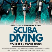 Scuba Diving Courses / Excursions