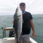 Xplorioâ„¢ Struisbaai - Awesome Charters - Boat Angling Trip
