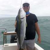 Xplorioâ„¢ Struisbaai - Awesome Charters - Boat Angling Trip