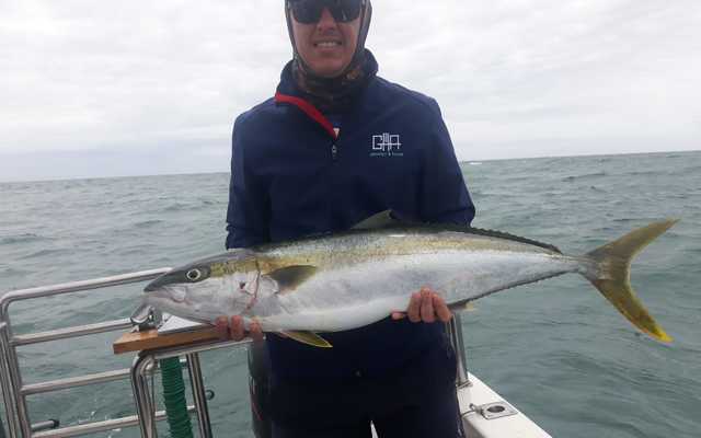 WhatsApp_Image_2020_12_21_at_14.30.54_2_1608616134