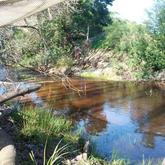 Xplorioâ„¢ Botrivier - Swaynekloof Farm - Relaxing Botrivier