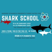 Shark School (23 & 30 January 2021 +Â 6 & 13 February 2021)