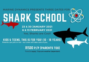 Shark School (23 & 30 January 2021 +Â 6 & 13 February 2021)