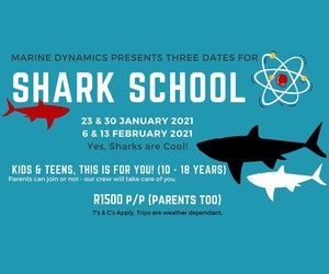 Shark School (23 & 30 January 2021 +Â 6 & 13 February 2021)