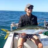 Yellowtail Fish - Awesome Charters - Xplorioâ„¢ Agulhas/Struisbaai