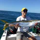 Yellowtail Fish - Awesome Charters - Xplorioâ„¢ Agulhas/Struisbaai
