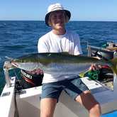 Yellowtail Fish - Awesome Charters - Xplorioâ„¢ Agulhas/Struisbaai