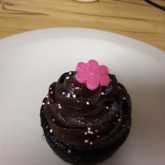 Cupcake - Cake Delights - Xplorioâ„¢ Bredasdorp