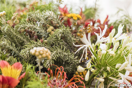 stanford_stanford_hills_fynbos_for_sale_1611577424