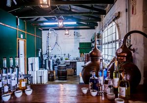 5 Fun Facts About GIN!