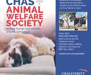 Chas + Animal Welfare Society